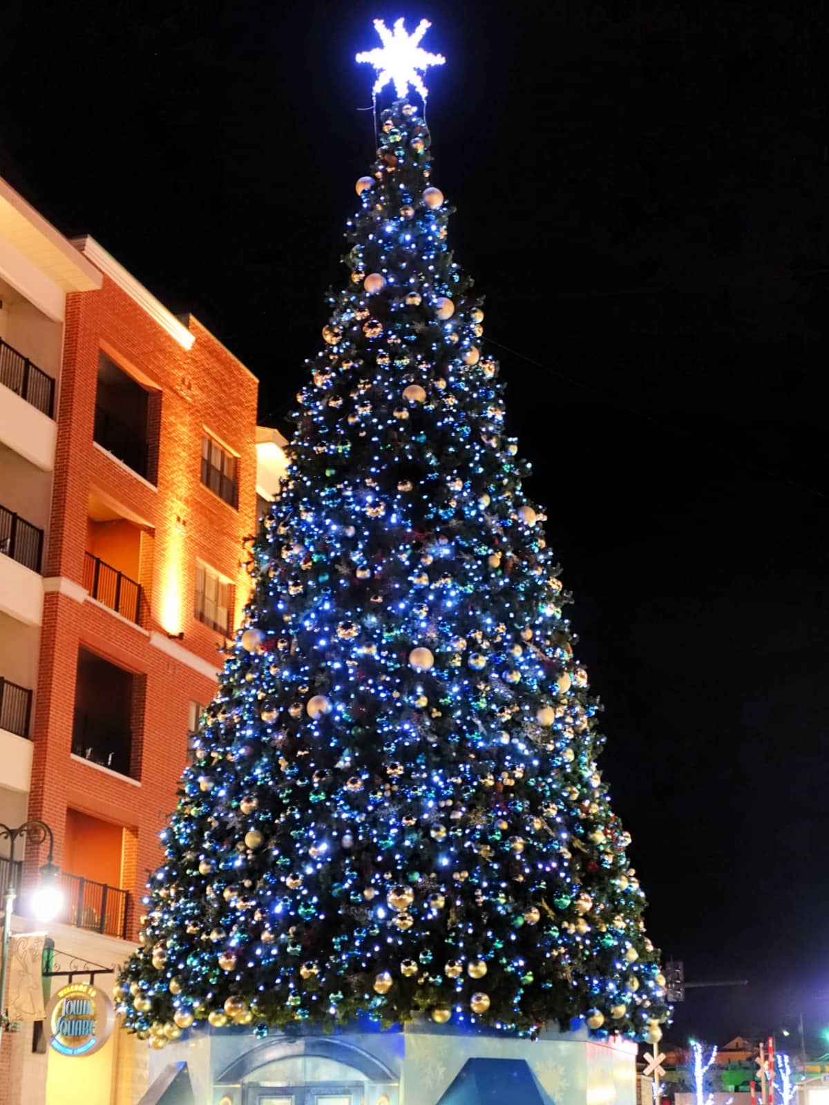 Branson Christmas Tree