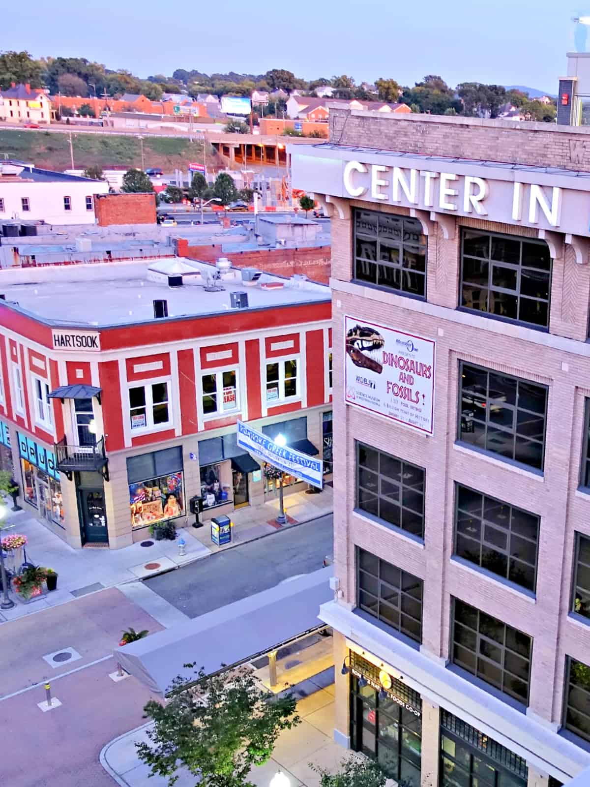 View of downtown Roanoke, Virginia from atop a building.