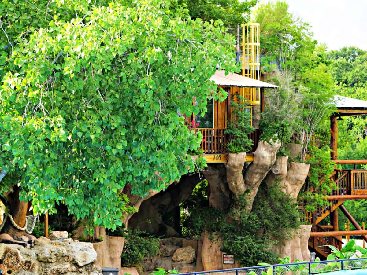 Schlitterbahn - The World's Best Water Park Tree house at a water park.