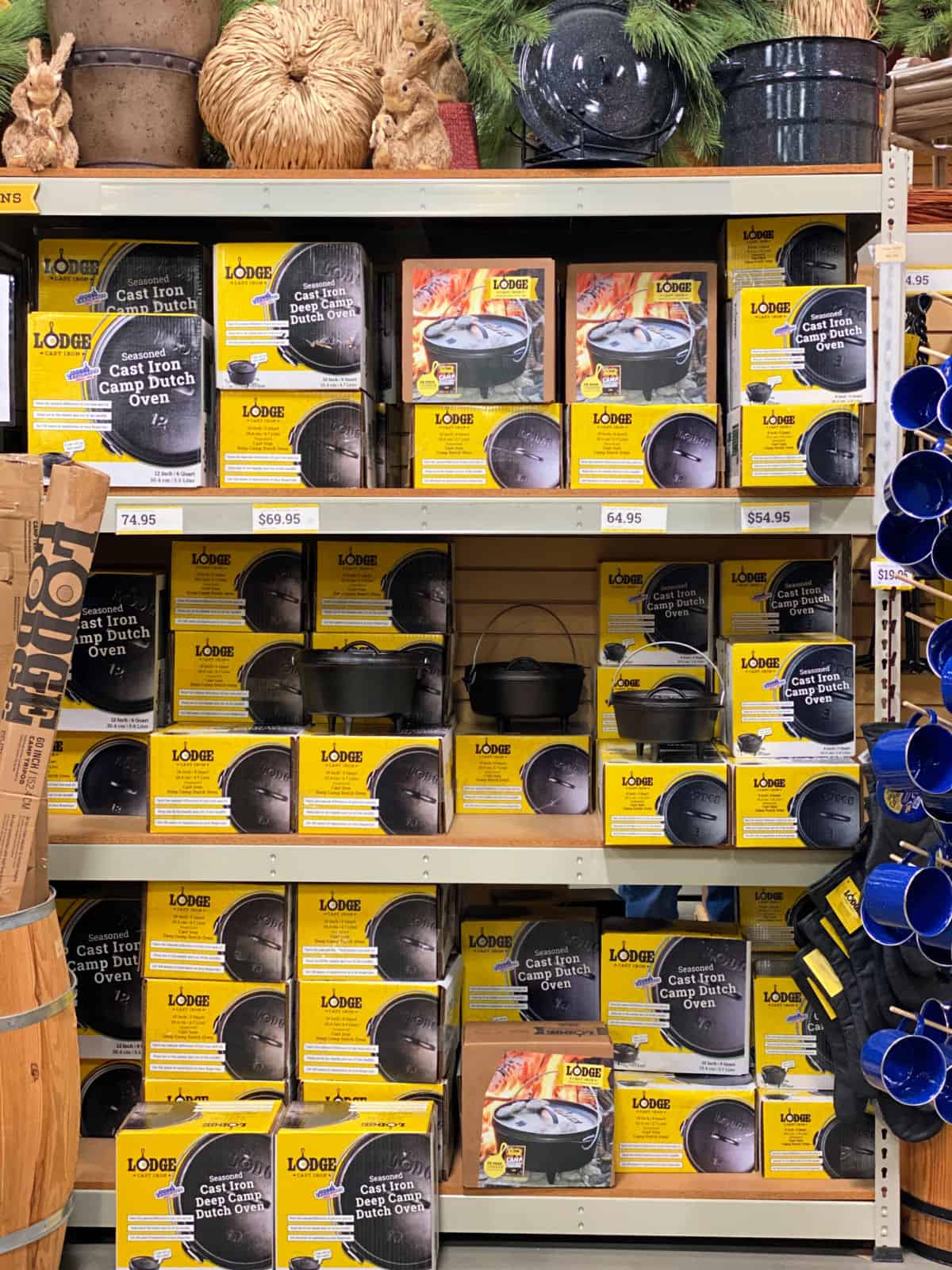 Cast Iron Camp Dutch Oven display.