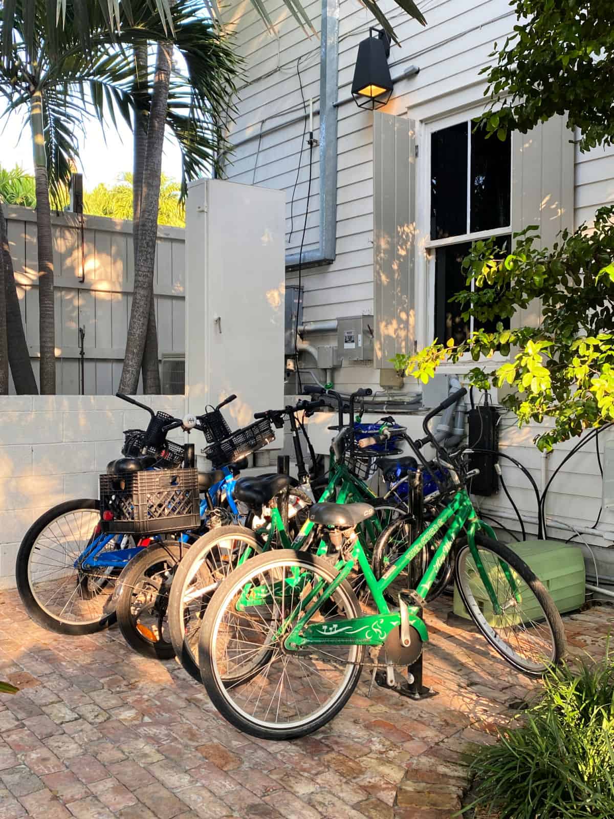 Row of bicycles in front of a building.