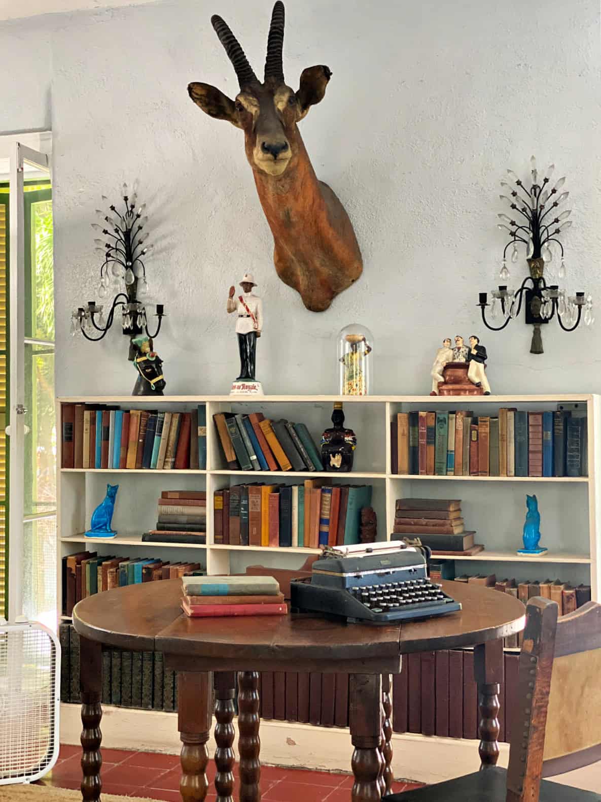 Books on a bookshelf and an animal's head mounted on a wall.
