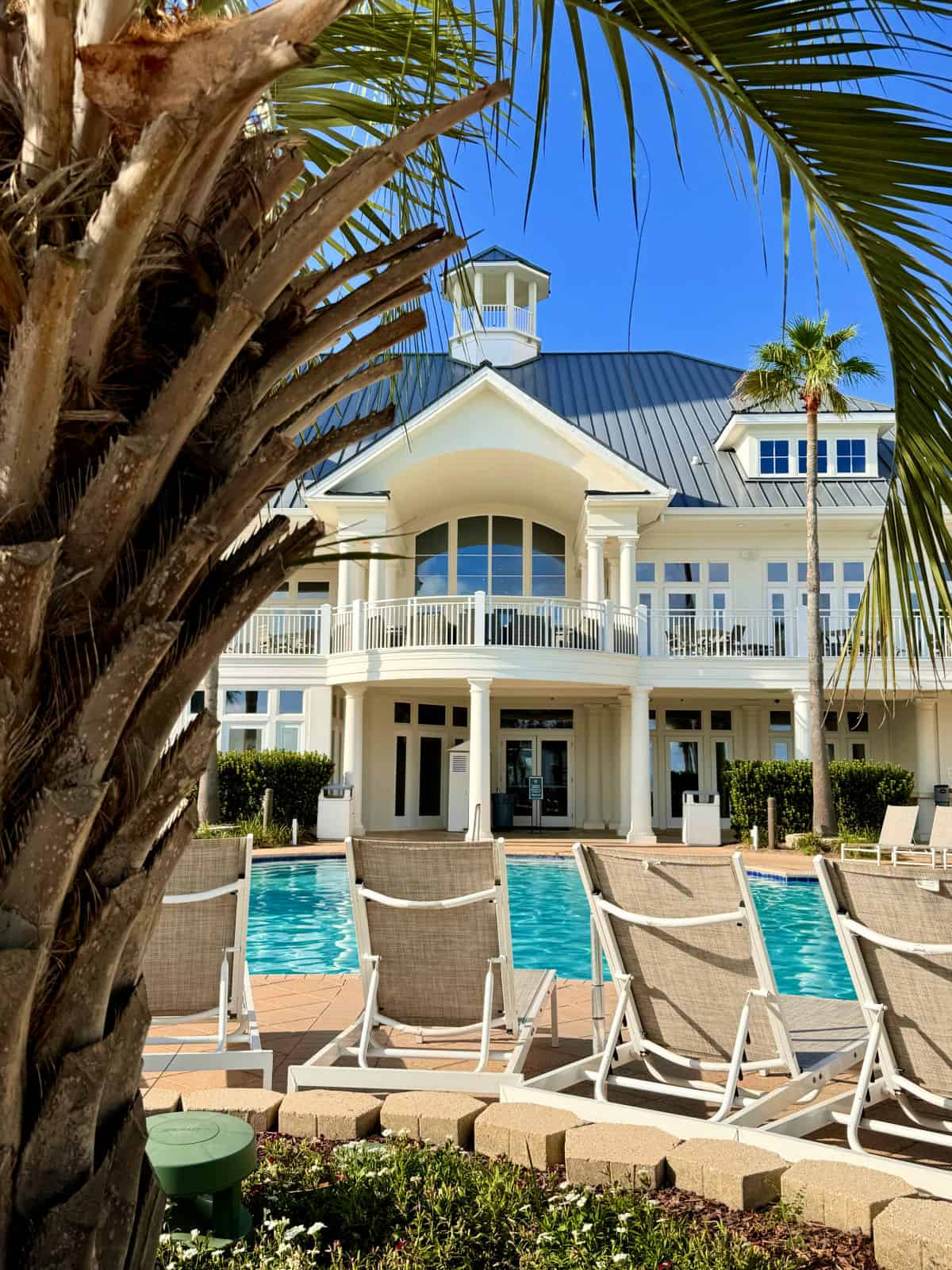 View of the beach clubhouse through palm branches with an outdoor swimming pool in the foreground.