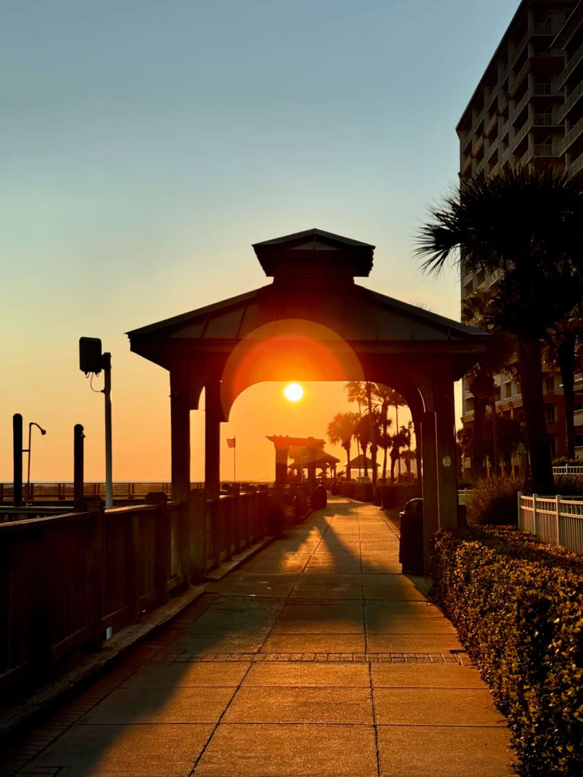 View of the sun setting through a pergola.