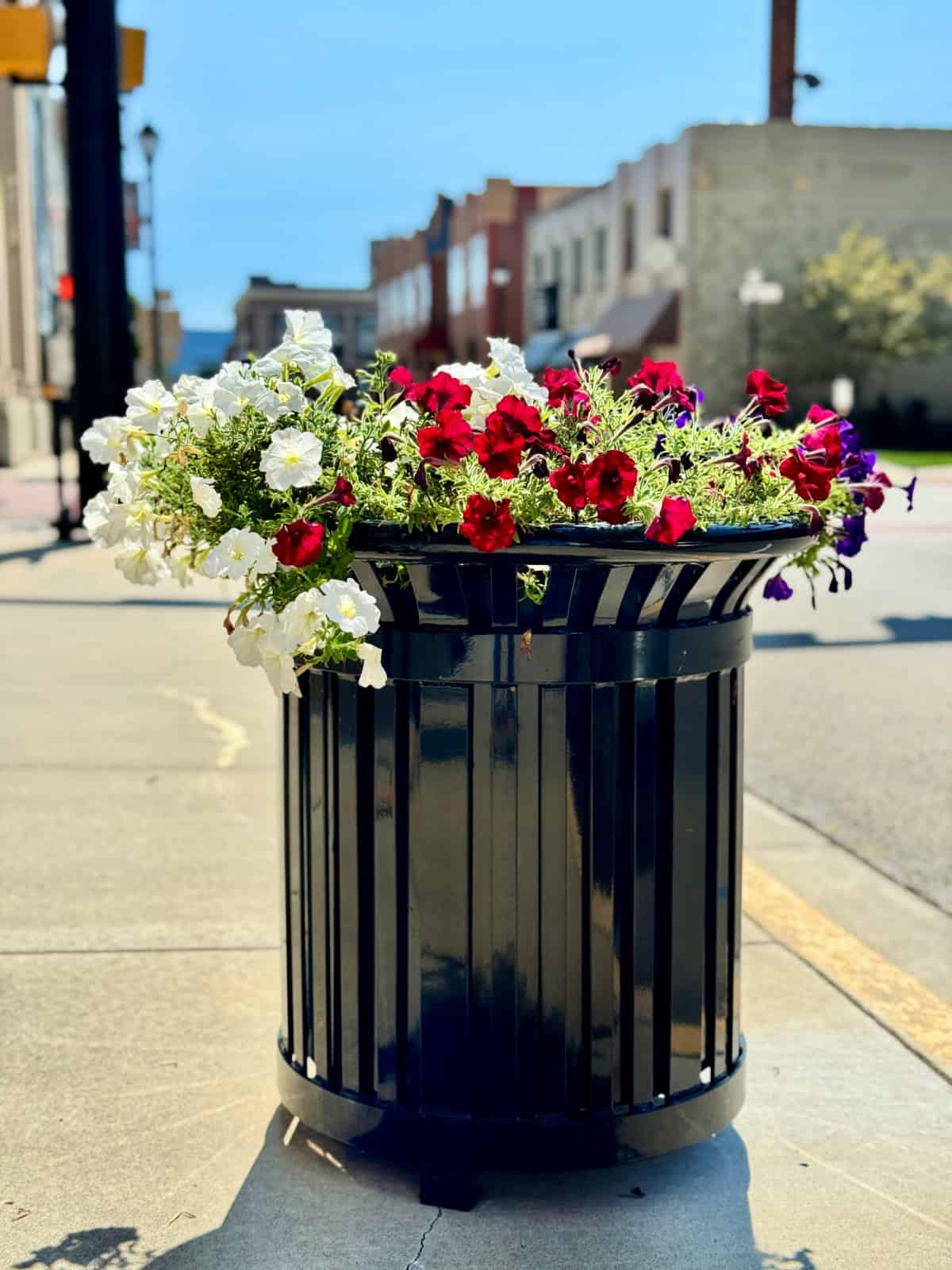 Bright flowers in a black planter adding charm to a Latrobe sidewalk.