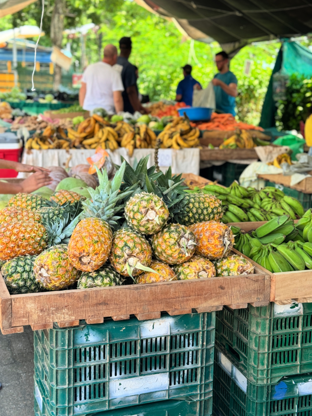 A colorful farmers market display in Costa Rica featuring pineapples, bananas, and fresh produce with vendors in the background.