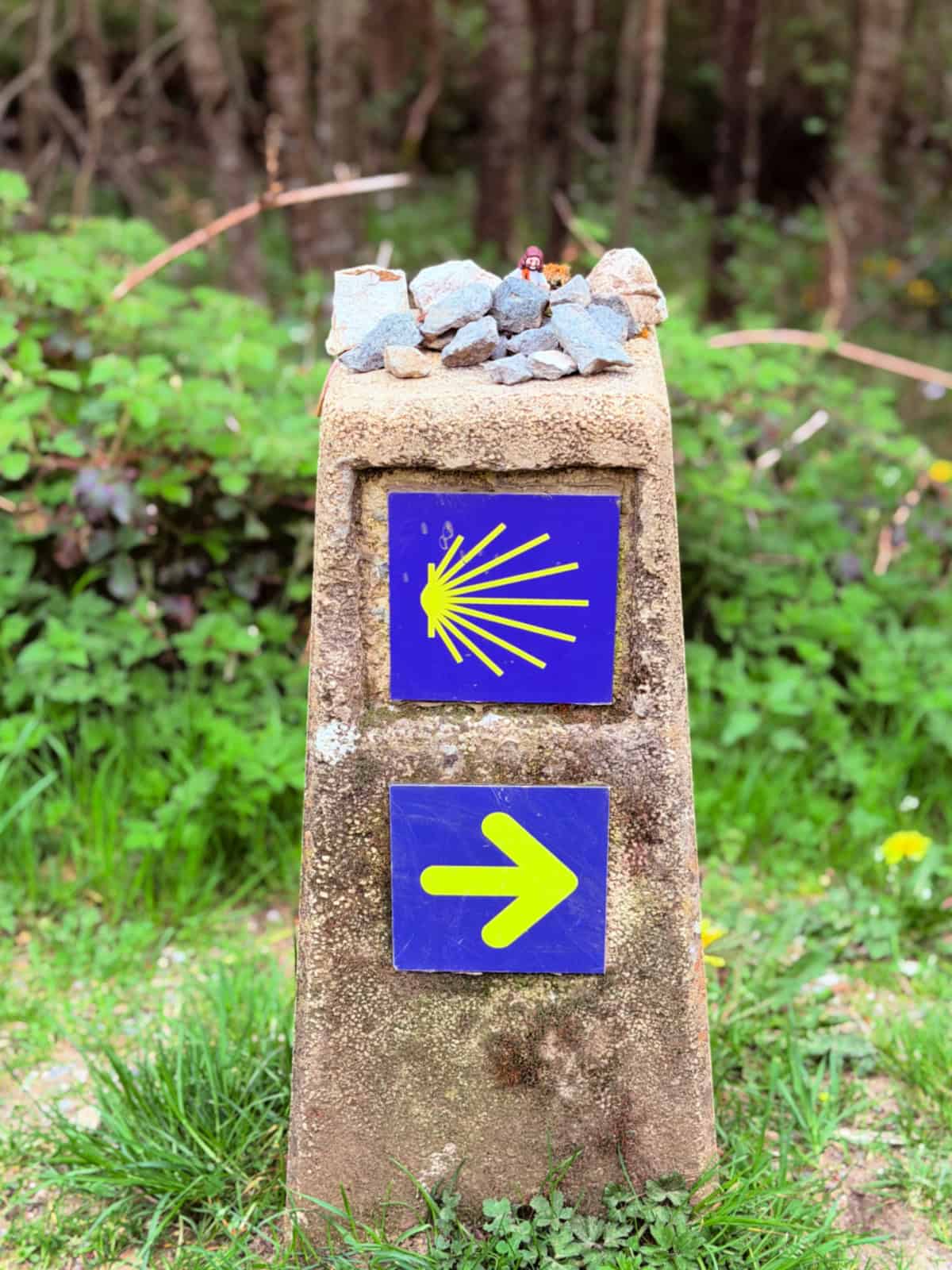 Camino de Santiago waymarker with the yellow scallop shell symbol and directional arrow mounted on a weathered stone marker in a forest setting.