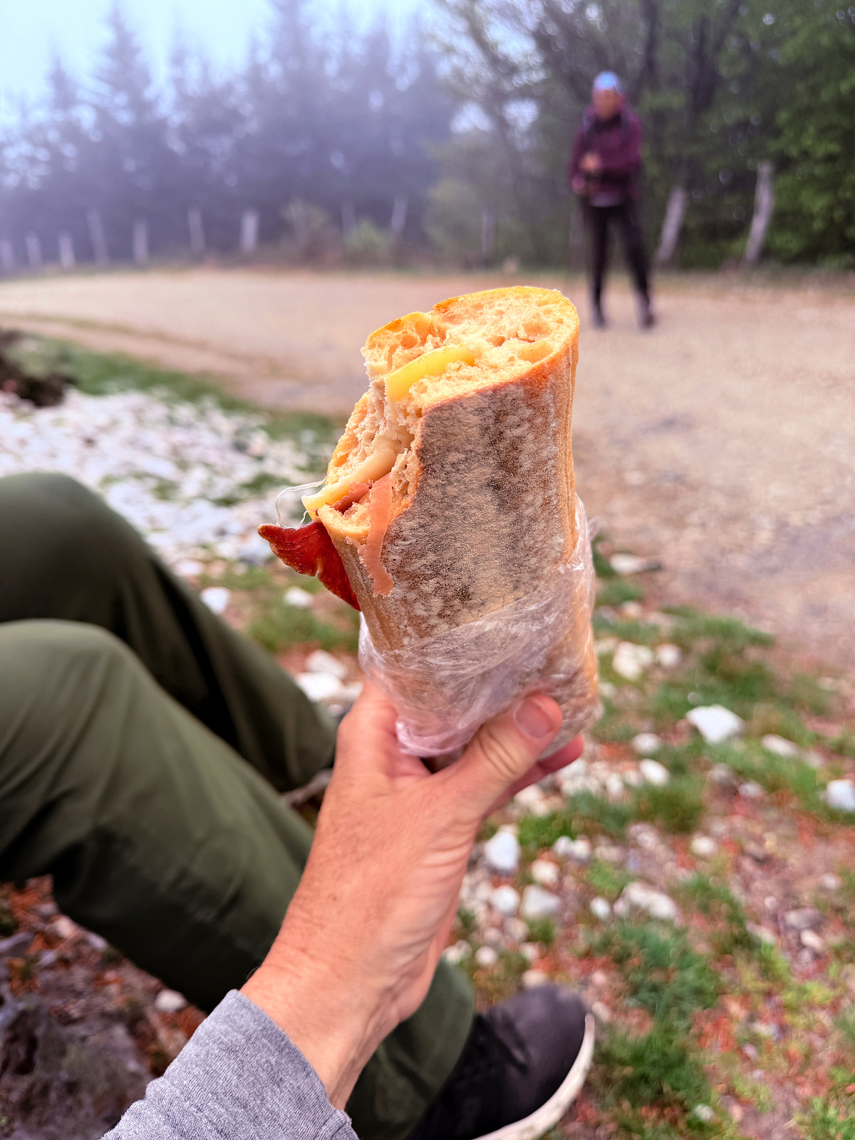 Pilgrim enjoying a ham and cheese baguette picnic during a rest stop near Auberge Borda.