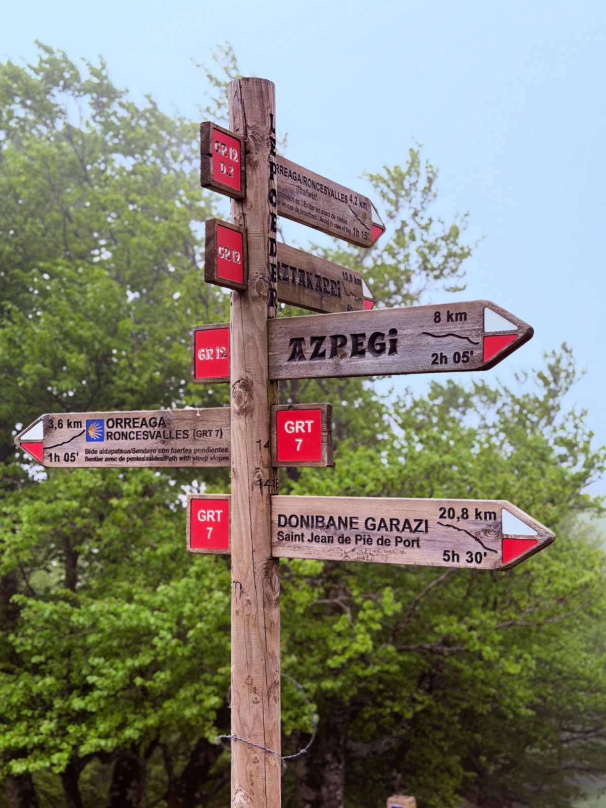 Trail signs at Alto de Lepoeder pointing toward Roncesvalles, Azpegi, and Saint-Jean-Pied-de-Port.