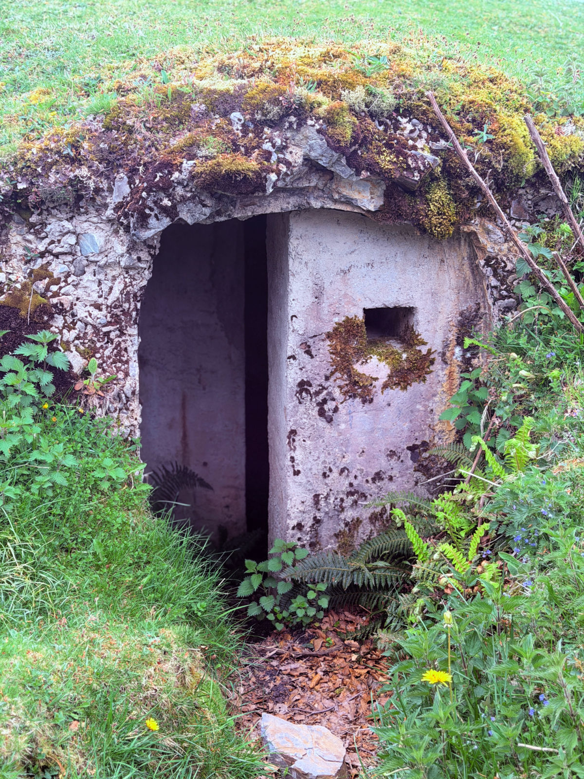 Moss-covered concrete bunker hidden in the hillside near the Camino route toward Roncesvalles.