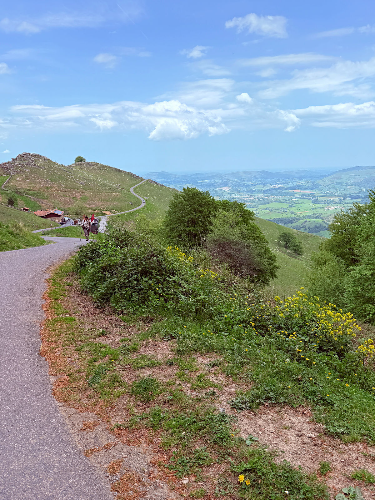 Winding mountain road through the green French Pyrenees with sweeping views of the valley below.