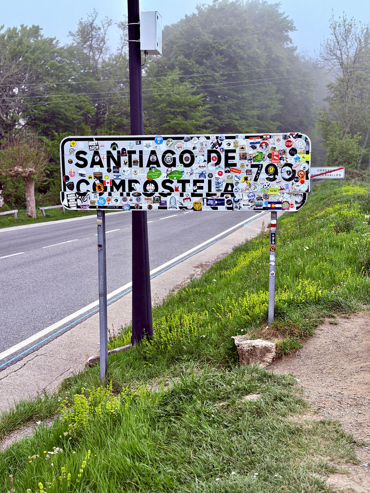 Sticker-covered Santiago de Compostela sign beside the Camino near Roncesvalles.