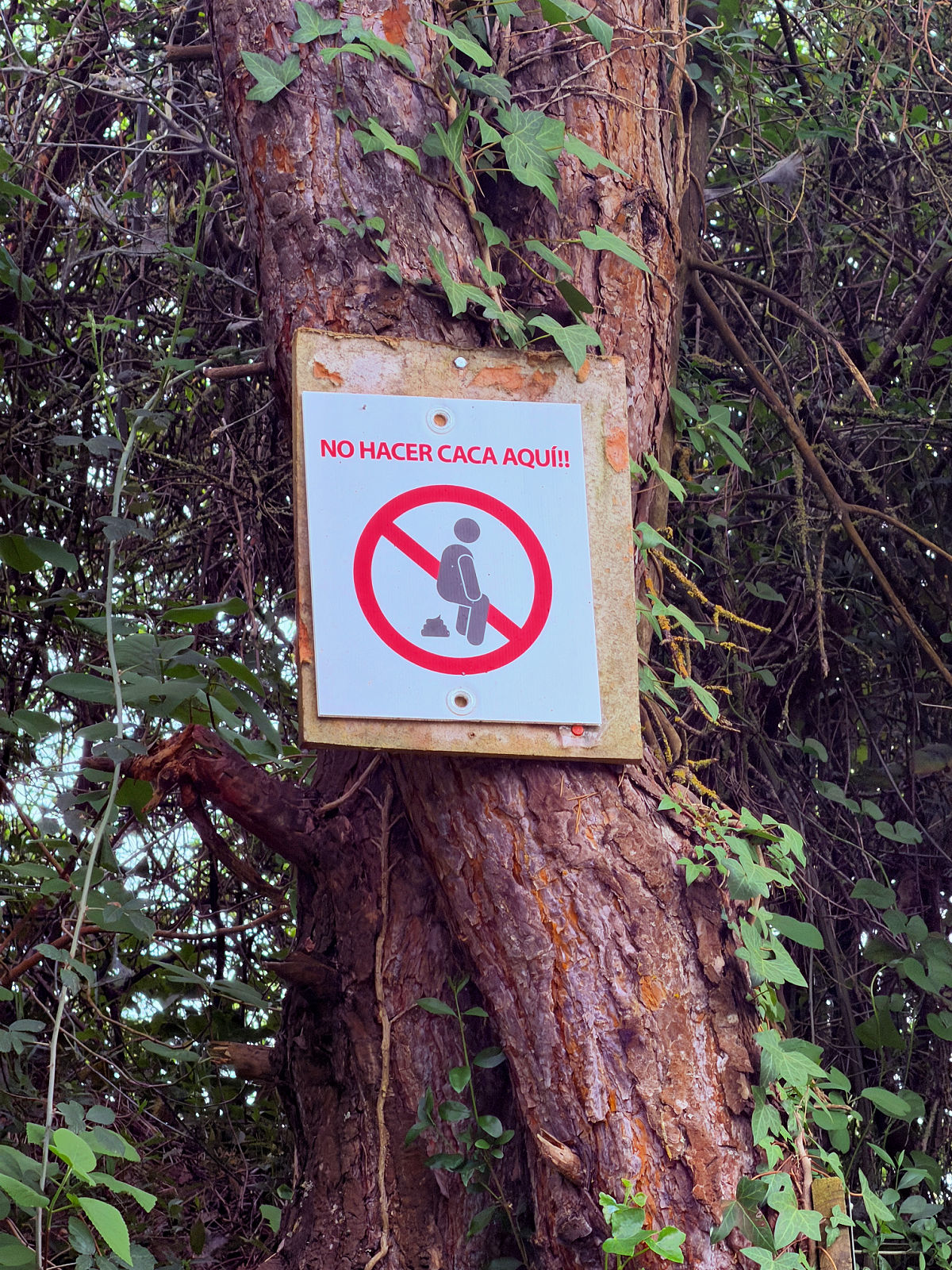 Spanish sign attached to a tree warning hikers not to use the area as a bathroom.