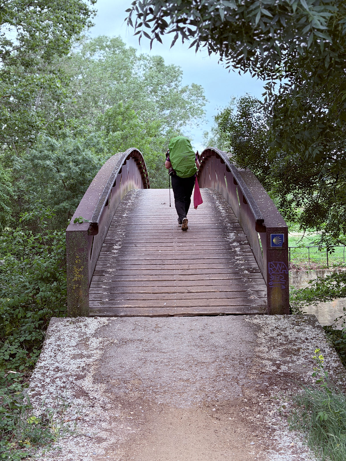 Small arched wooden footbridge surrounded by trees along the Camino trail.