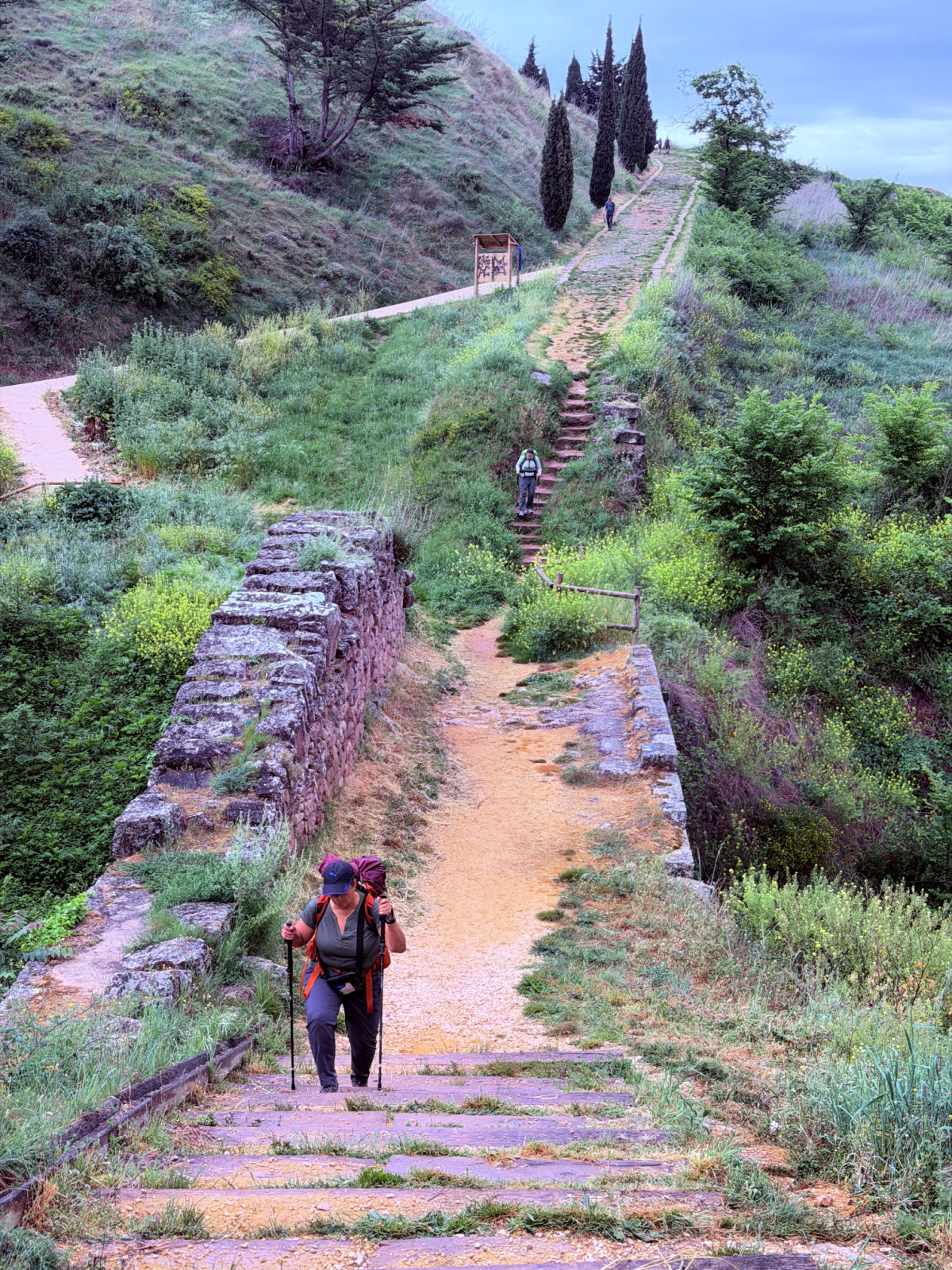 Pilgrims walking uphill on a rocky Camino path bordered by green fields and wildflowers.