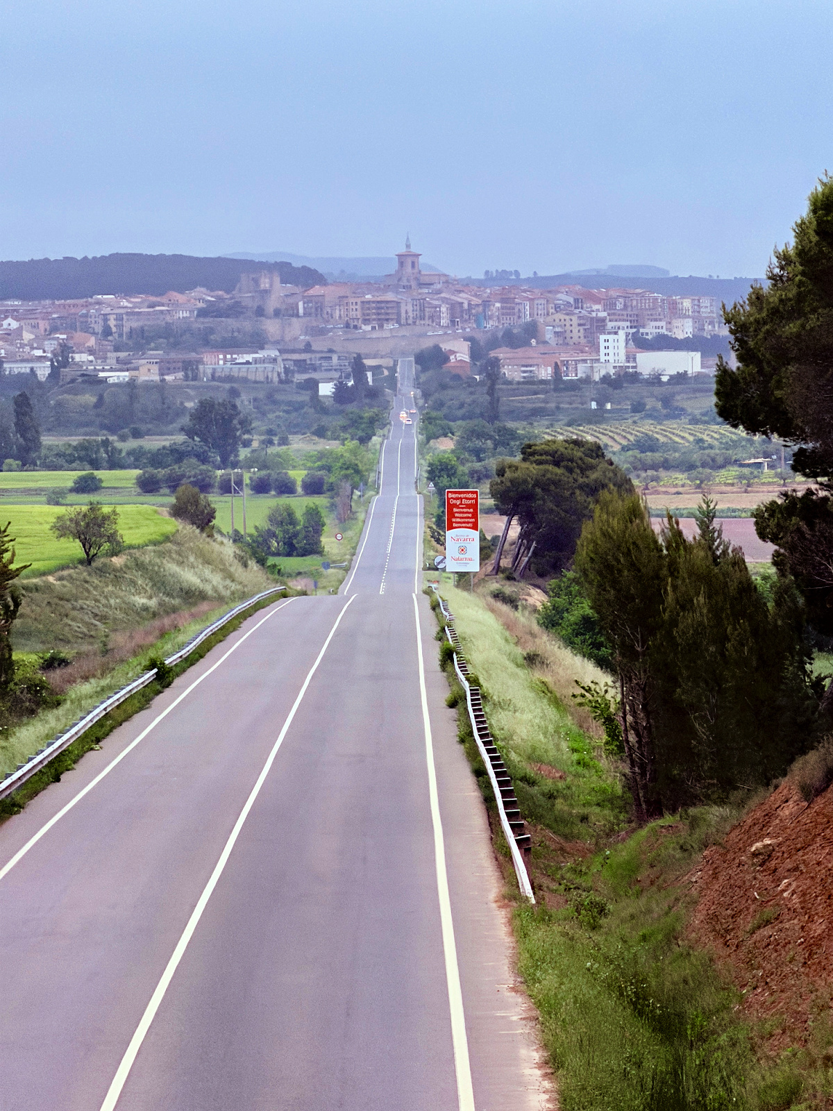 Long road descending toward Viana through the countryside of Navarra, Spain.