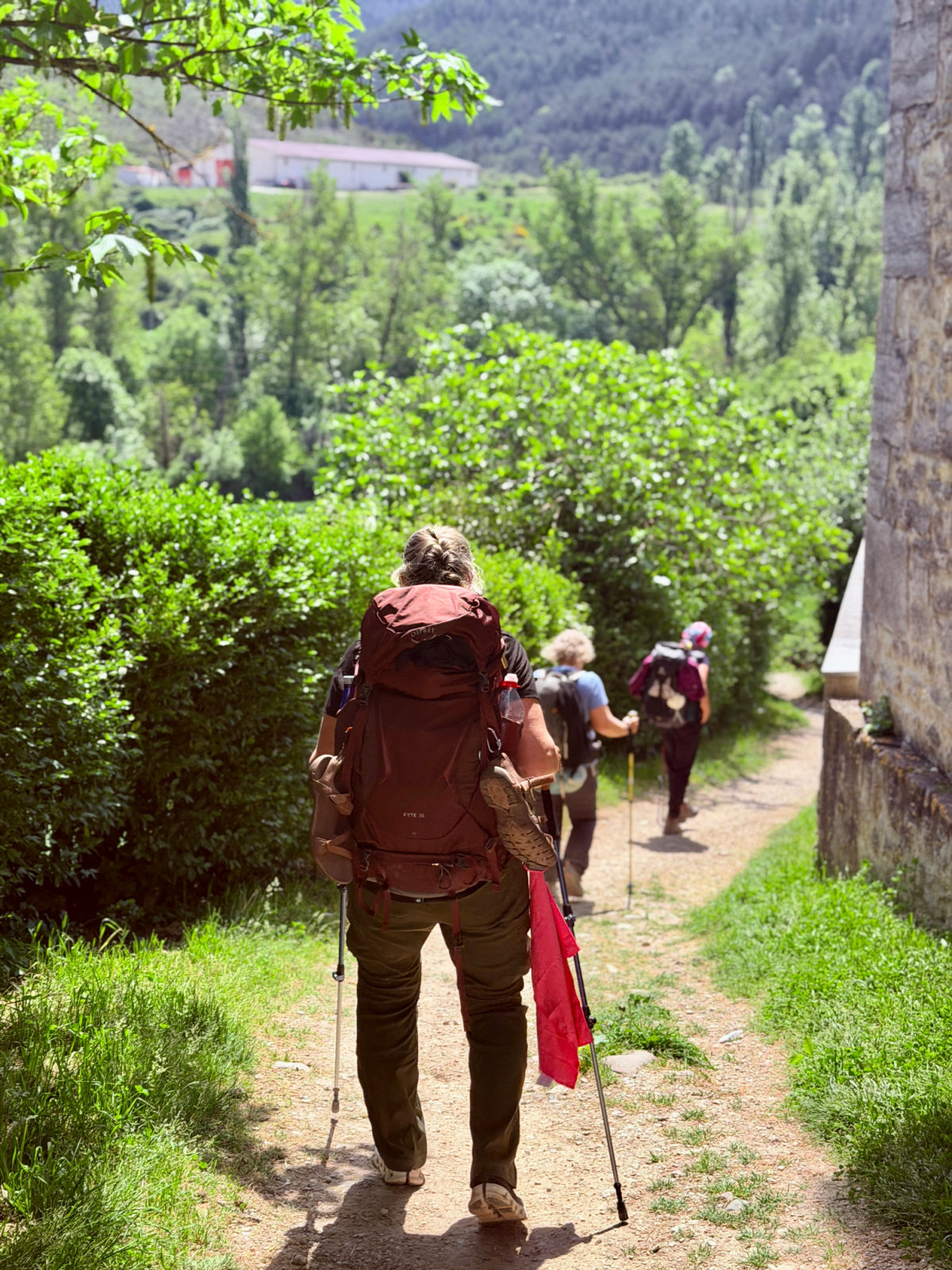 Pilgrims carrying backpacks and trekking poles walk downhill on a sunny Camino trail.