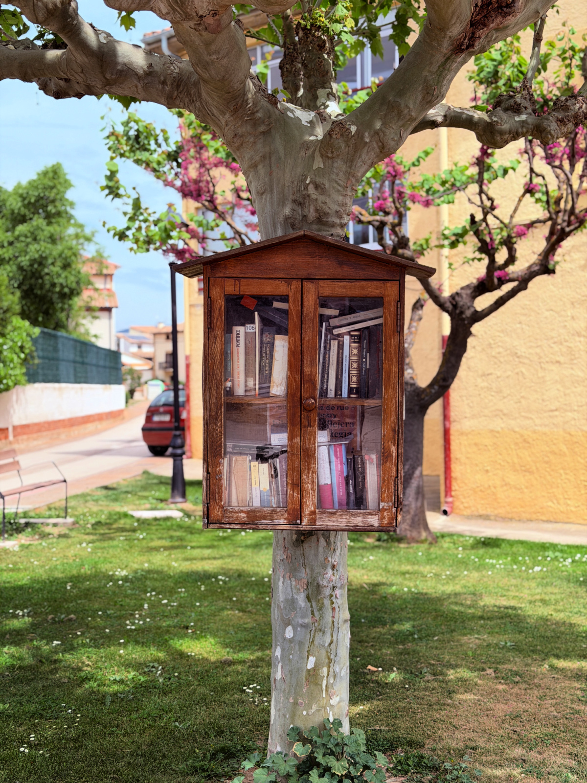 Small wooden community library attached to a tree in a Spanish village.