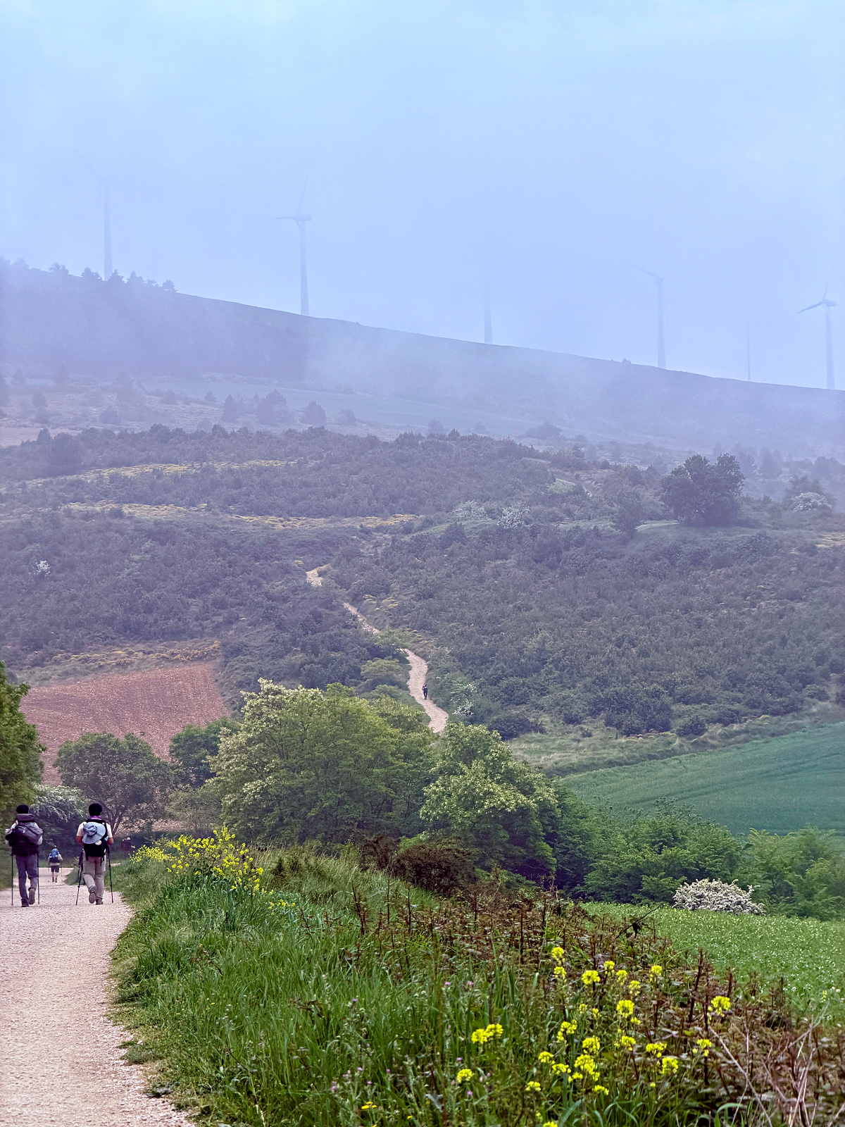 Camino pilgrims walking toward fog-covered hills and wind turbines near Alto del Perdón.