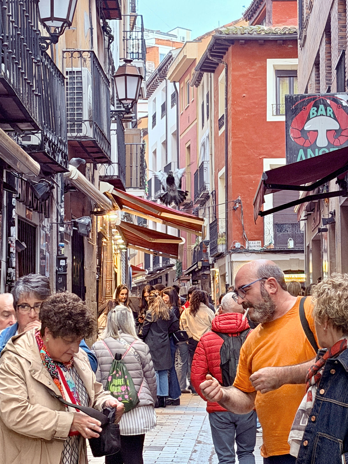 Pigeon flying above pedestrians on a crowded street lined with tapas bars in Logroño.